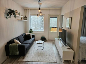 Quiet ap good location & parking Tampere
